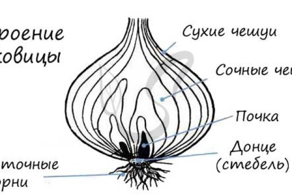 Зеркало омг в торе